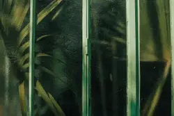 Close Up Of A Window