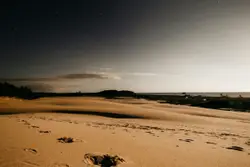 Beach With A Few Birds On It