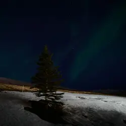 Snowy Mountain With A Few Trees