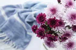 White Flower In A White Vase With A Red Flower