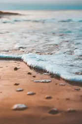 Wet Beach With A Bunch Of Waves