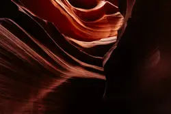 Blurry Photo Of A Blurry Picture Of A Plant