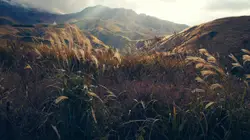 Field With A Mountain Range And A Mountain