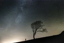 Lone Tree Is Seen In The Distance