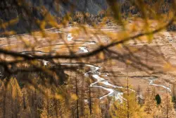 Snowy Mountain With A Few Trees