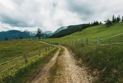 Dirt Road With A Fence And A Fence Post