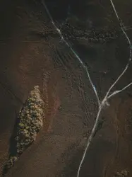 Blurry Photo Of A Small Bird On A Dirt Ground