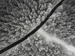 Train Traveling Through A Field Of Tall Grass