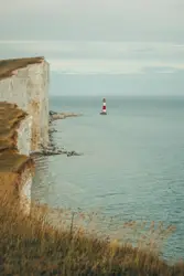 Person On A Board On A Beach