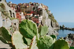 Green Wall With A Bunch Of Rocks And A Lighthouse
