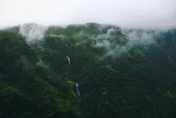 Bird Flying Over A Hill With A Mountain