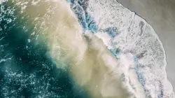 Polar Bear Is Walking On A Frozen Lake