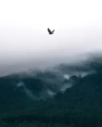 Bird Flying Over A Mountain With A Cloudy Sky