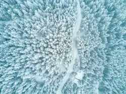 Snowy Landscape With A Large Amount Of Snow