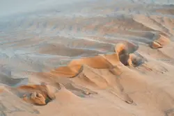 Two Large Brown And White Animals Are Laying On A Beach