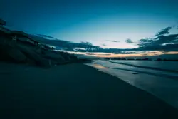 Beach With A Few Trees And A Body Of Water