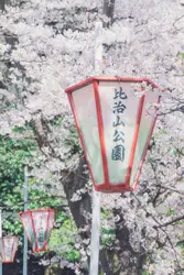 Street Sign With A Street Light On It