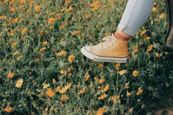 Person Is Standing In A Field With A Flower In The Air