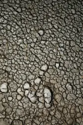Dirt Road With A Few Small Rocks