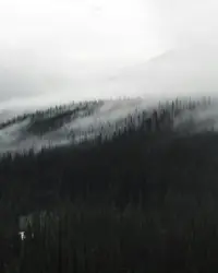 Snowy Mountain With A Few Trees