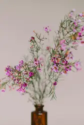 Vase With A Flower In It