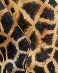 Close Up Picture Of A Giraffe