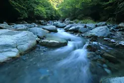 River With A Waterfall And A Couple Of Trees