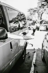 Person On A Skateboard In The Street