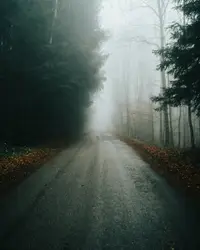 Road With Trees And A Street Sign