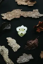 White Object With A Bird On It