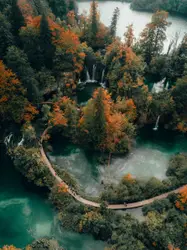 River With A Bunch Of Trees And A Waterfall