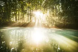 Sunlight to body of water