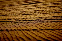 Brown sand field