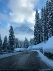 Asphalt road beside snowy trees and mountain