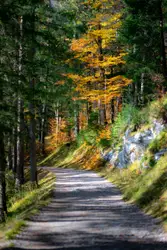 Autumn colors on a path through the woods near the Eibs