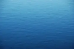 Calm