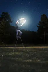 Man standing on ladder near trees during daytime