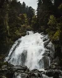 Running waterfalls in the forest
