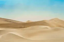 Brown dessert during daytime