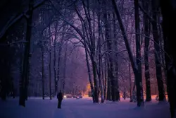 Snowy park