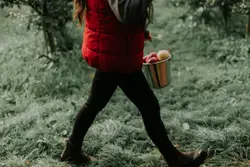 A girl walking with a bucket of apples