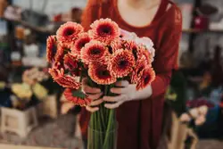 Selective focus photo of woman holding pink petaled flo