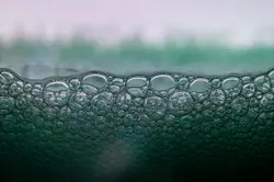 Macro photography of green bubbles
