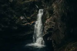 Moody Wainui falls, hidden away in the forests of Golde