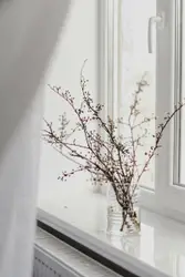 Brown plant in white ceramic vase