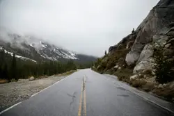 Road near forest during cloudy day