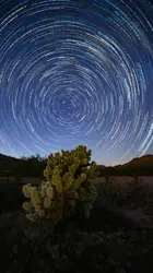 Starry Night in Arizona