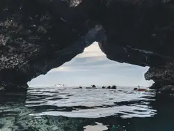 Group of people swimming on beach