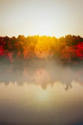 A little sun, fog and autumn color mix wonderfully toge