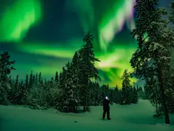 Man standing on snow field with trees under Aurora bore